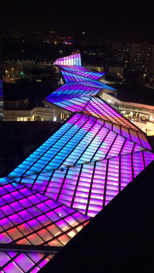 上海宝龙城天顶