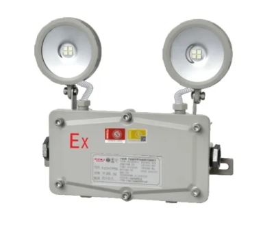 IP65防爆防水双头灯